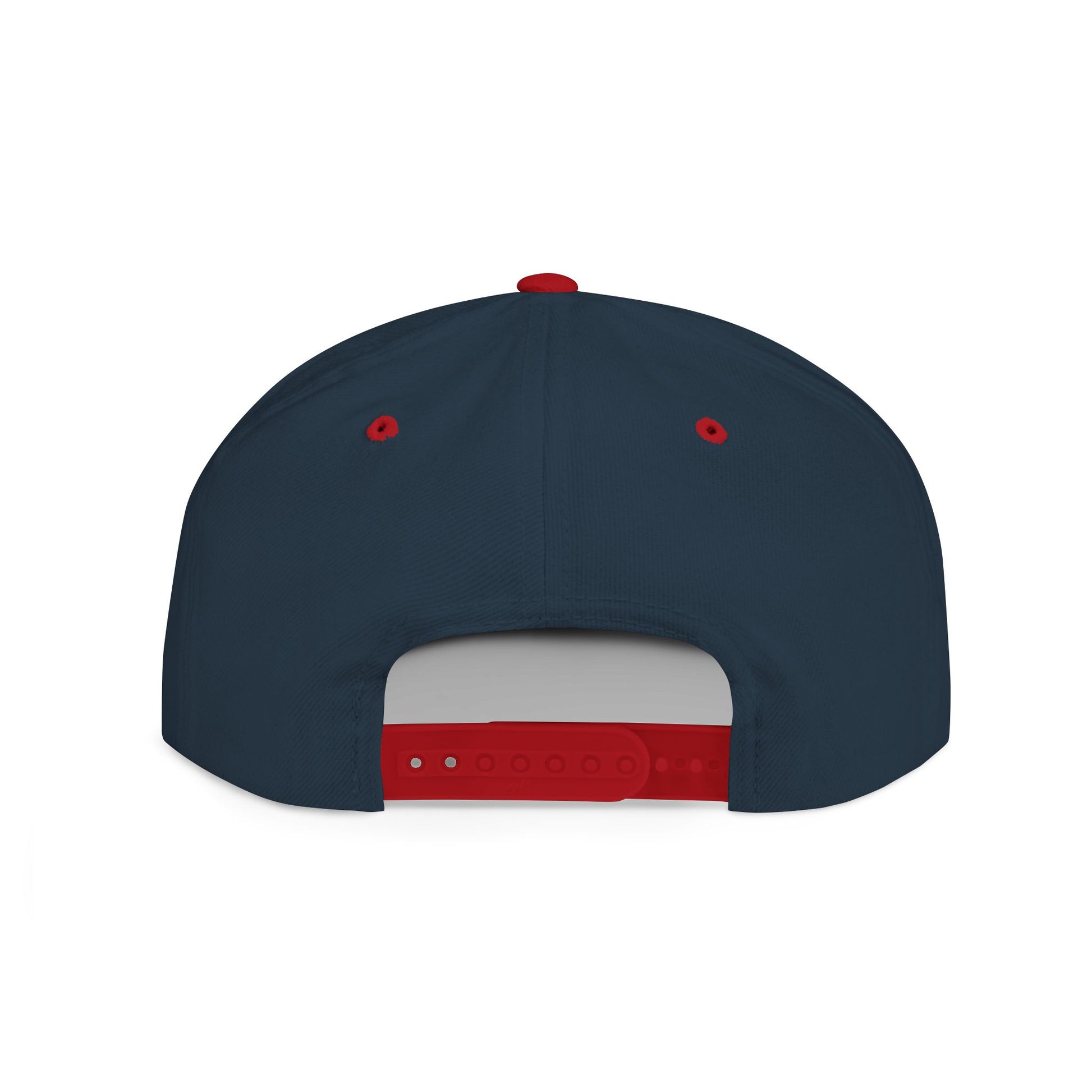 I Don't Work Here Flat Bill Snapback, Funny Hat, Gift for Coworkers, Office Humor, Casual Wear, Adjustable Cap