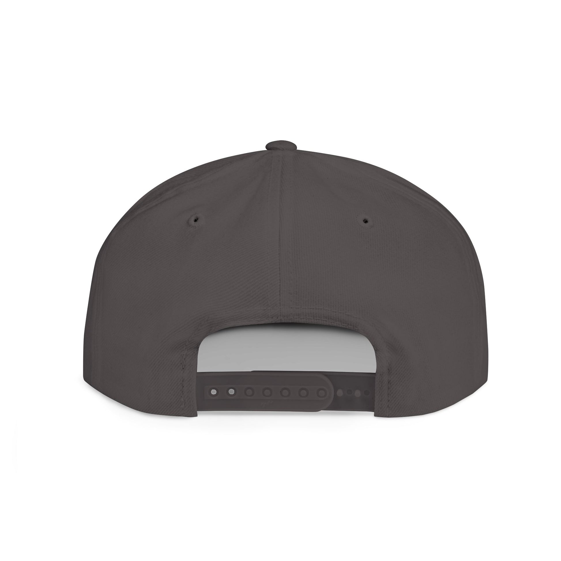 I Don't Work Here Flat Bill Snapback, Funny Hat, Gift for Coworkers, Office Humor, Casual Wear, Adjustable Cap
