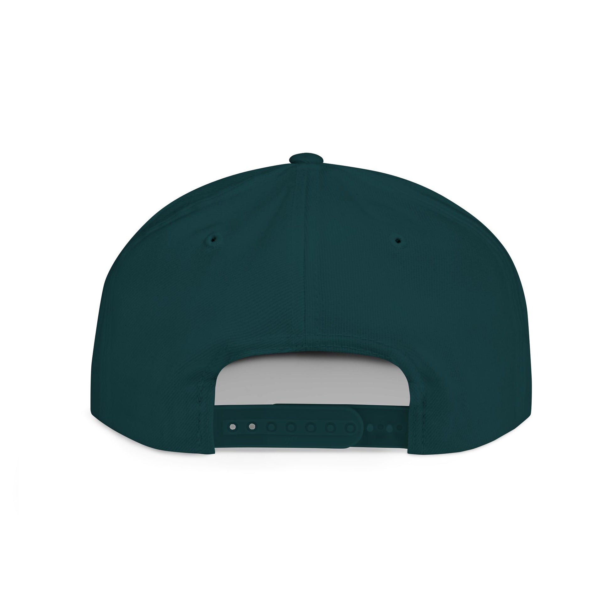 I Don't Work Here Flat Bill Snapback, Funny Hat, Gift for Coworkers, Office Humor, Casual Wear, Adjustable Cap