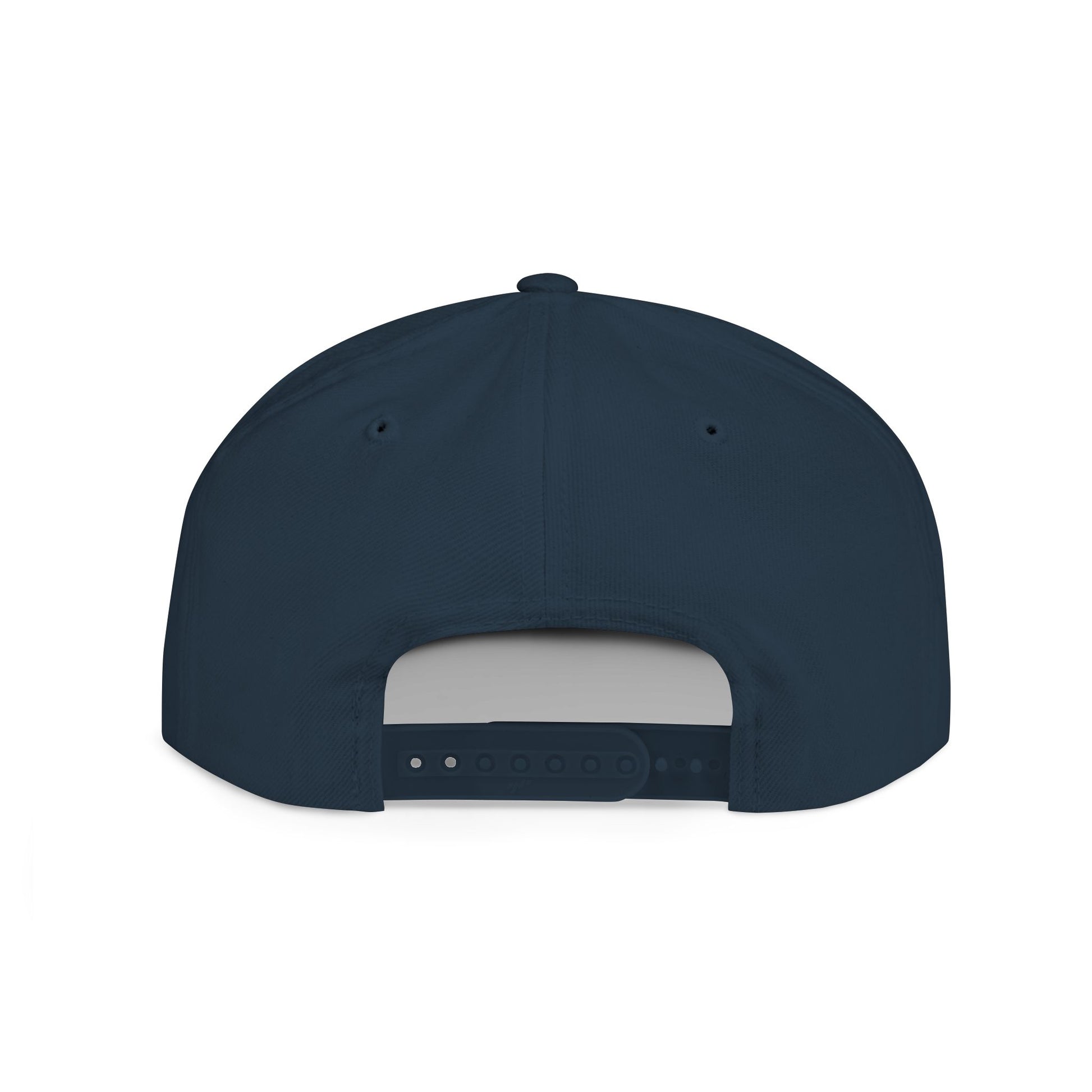 I Don't Work Here Flat Bill Snapback, Funny Hat, Gift for Coworkers, Office Humor, Casual Wear, Adjustable Cap