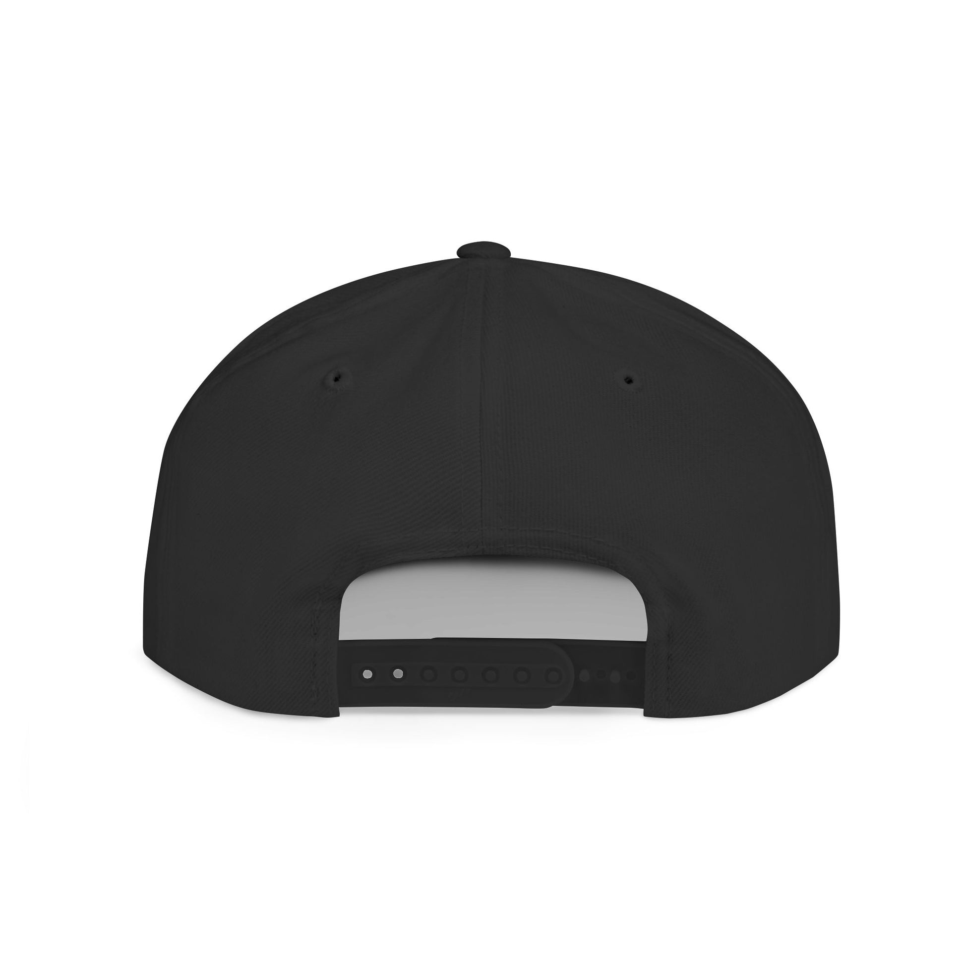 I Don't Work Here Flat Bill Snapback, Funny Hat, Gift for Coworkers, Office Humor, Casual Wear, Adjustable Cap